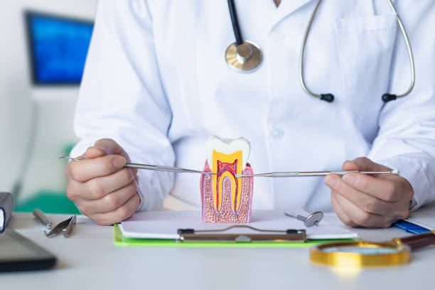 Best Emergency Treatment for Toothache in West Concord, MA